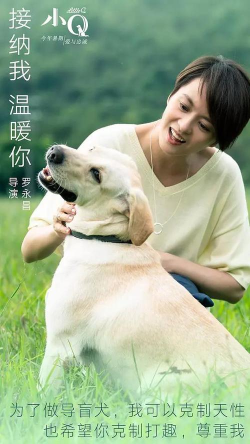 办理假上海浦东发展银行ATM机转账凭条